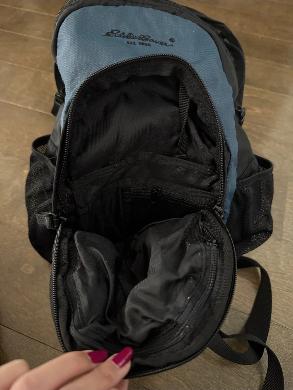 Eddie Bauer mini backpack